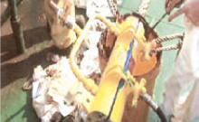 Wire Rope Cleaner and Lubricator System