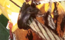 Wire Rope Cleaner and Lubricator System